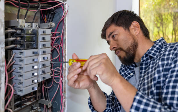 Best Electric Panel Repair  in Wailea, HI